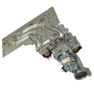 MANIFOLD/GAS VALVE ASSY,LP